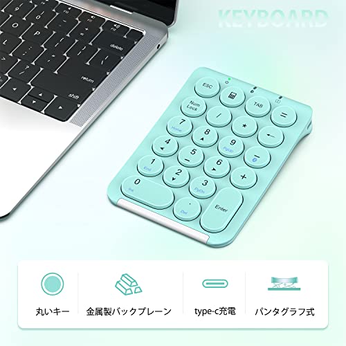 iClever テンキー Bluetooth ワイヤレス 数字 キーボード パンタグラフ式 Type-c充電 超薄型 Tabキー付き ブルートゥ