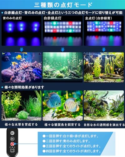 thum3