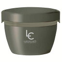 アスベル 保温弁当箱 ランタスカフェ丼CD-620 盛り付け簡単 620ml グレー 多彩なメニューに対応 A3248