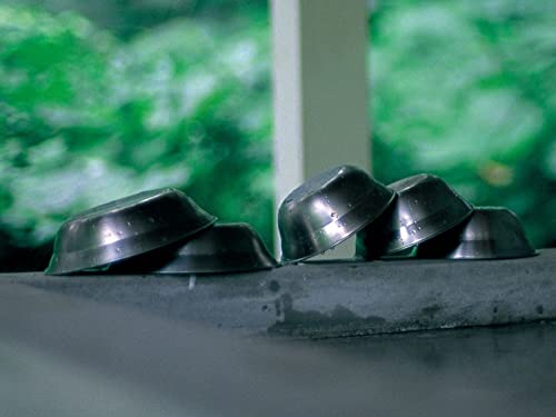 Snow Peak(スノーピーク) (snow peak) SPテーブルウェアボール ステンレス鋼 TW-031 Lサイズ