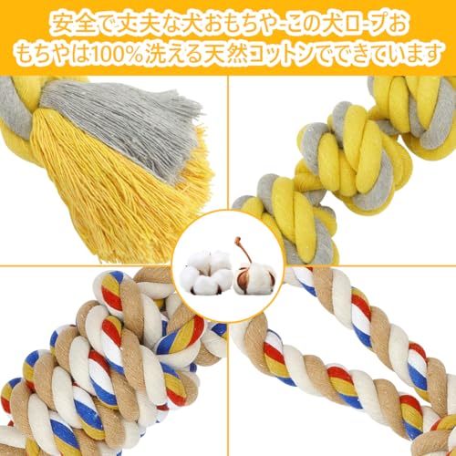 ETACCU �������פ������ ��������� �� ������� ������ 2�ĥ��å��淿�� �緿�� 55cm ���Ѵ�� �����प����� �ڥå��� ���å�