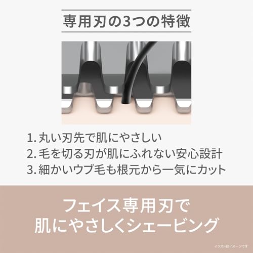 �ѥʥ��˥å� �ե������������С� �ե��ꥨ ������ �����Ӽ� �Х�����å� ES-WF53-V