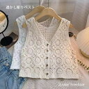 ベスト レディース サマー ベスト ジレ ニットベスト 前開き ニット トップス レイヤード 透かし編み 透かし彫り フェミニン Vネック かぎ編み 総柄 ノースリーブ 春 夏 おしゃれ ジレベスト ショート丈 着回し 重ね着 薄手 カジュアル 体型カバー 通勤 可愛い(4)
