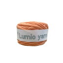 【Lumio yarn】ヤーン アップサイクルヤーン リサイクルヤーン 50m 《A-41》オレンジ系【久世染】《定形外発送・送料無料》
