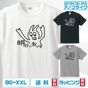 おもしろ tシャツ 【 明日は我が身 】 己を戒めながら生きる方へ 半袖Tシャツ 面白Tシャツ おもしろtシャツ 綿100%の高品質Tシャツ使用 男女兼用サイズ 女性用サイズ キッズサイズ プレゼント ギフト ラッピング無料 送料無料
