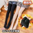 2B【大きめサイズが登場】大人気商品 最終在庫処分 裏起毛タイツ　トレンカ　BIGサイズ　大きめ　伸縮性抜群　ふわふわ厚手の裏起毛であったかぬくぬく★　ベージュ　ブラック　SNSで話題沸騰