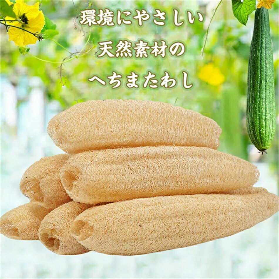 送料無料 お得な3本or6本セット 天然ヘチマ...の紹介画像2