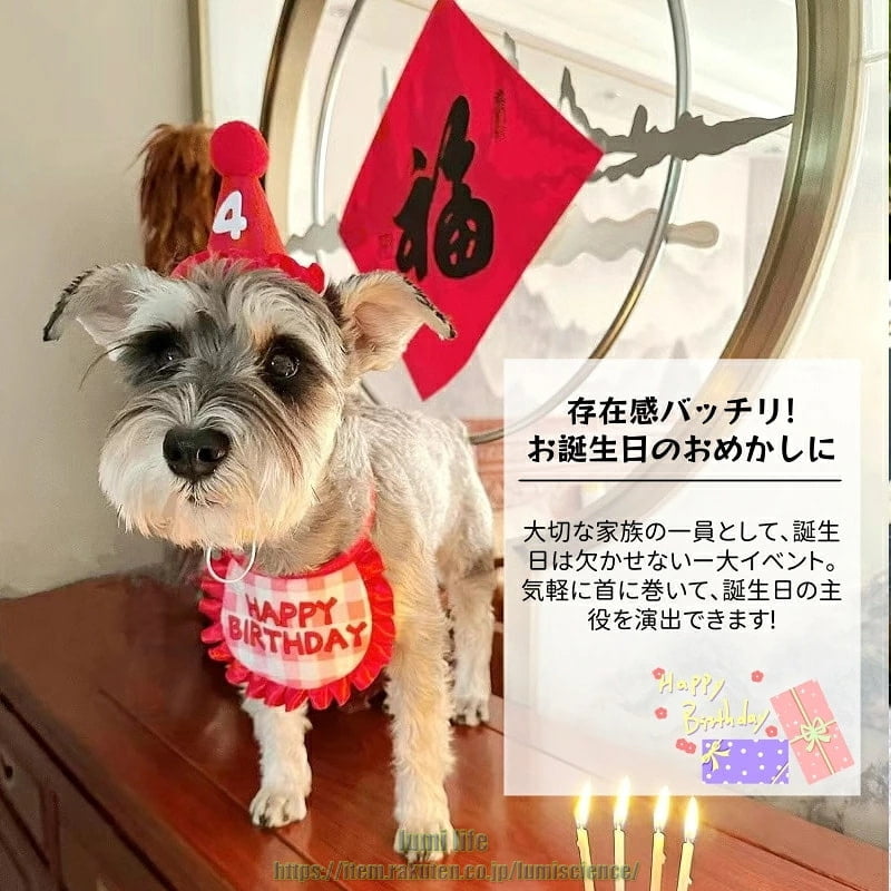 首輪 ネコ 犬 よだれかけ バンダナ 誕生日お祝い 小動物 3点セット 帽子 / よだれ...