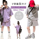 2024新品 韓国子供服 女の子 キッズ こども キッズ服 子供服 子供服 女の子 夏服 セットアップ ポロネック 半袖 スウェットシャツ ショートパンツ 2点...