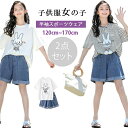 韓国子供服 女の子 キッズ こども キッズ服 子供服 子供 セットアップ 女の子 夏服 上下セット デニム ショートパンツ 半袖tシャツ 2点セット キッズ ジ...