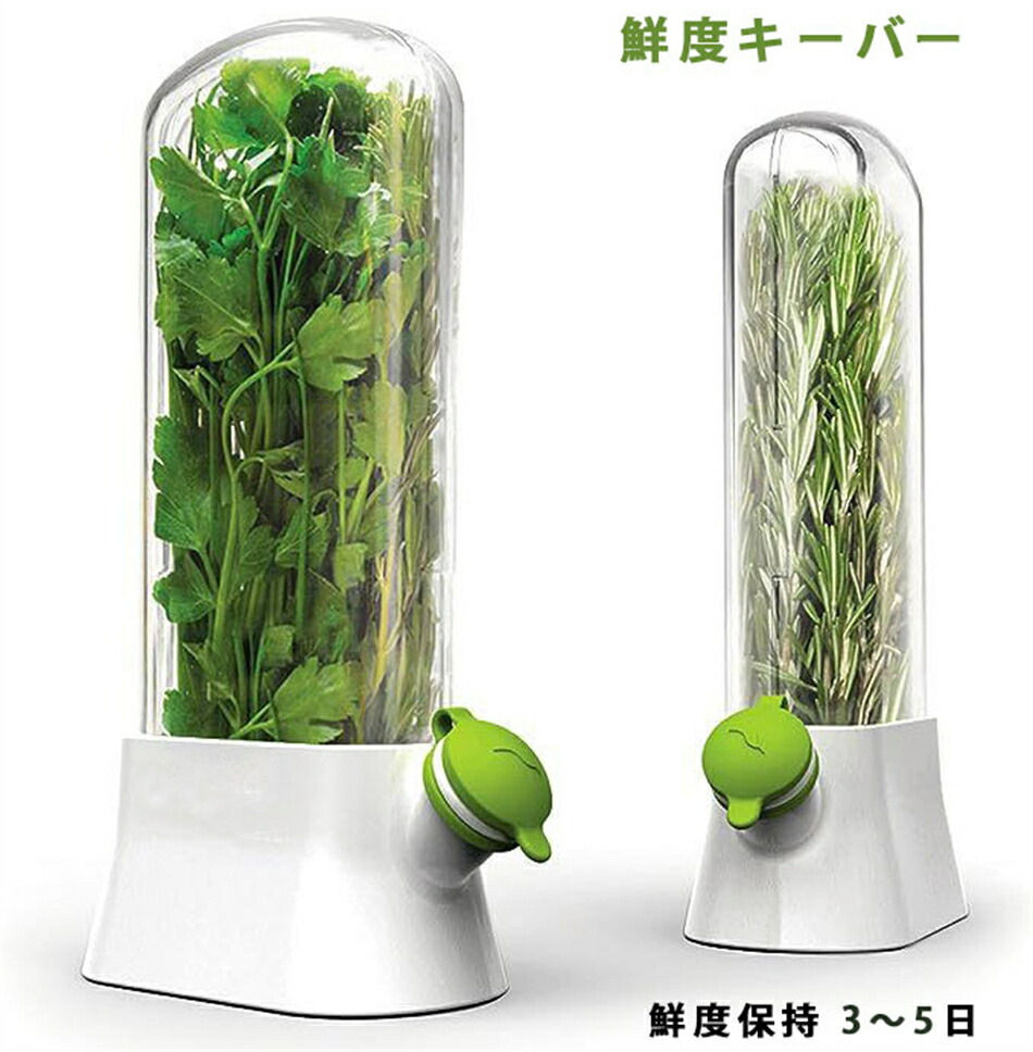 Rakuten - （2個セット）ハーブ野菜タッパー圧壊防止エコタッパーアイデアパクチータッパー野菜保存容器 鮮度キーバー 鮮度キープ 鮮度保持 3〜5日キープ 保存容器 新鮮 保存 鮮度 保持 キッチン用品 食品 ボトル おしゃれ 送料無料