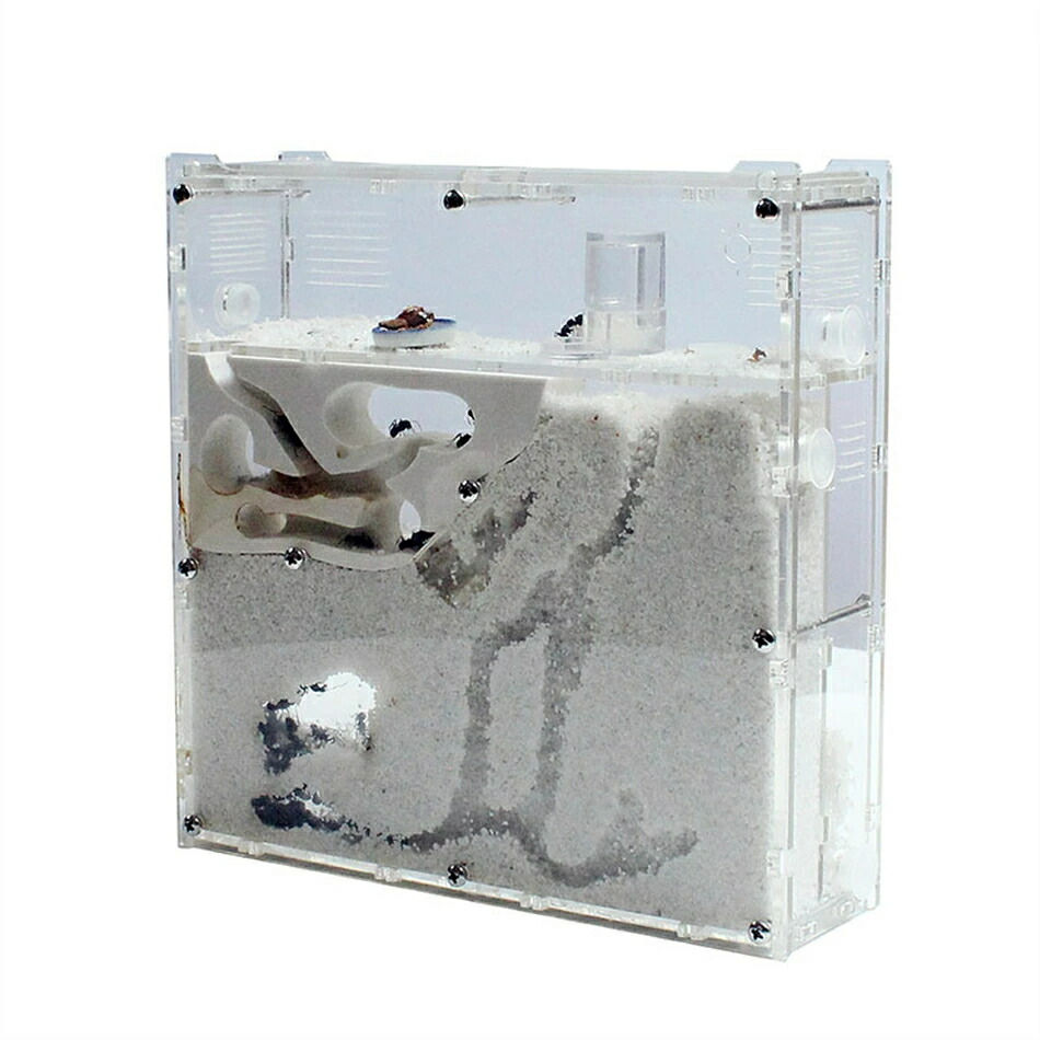 アリ飼育キット 砂巣 爬虫類飼育ケース アリの巣観察キット 科学試験アリ工房の家の生態家屋箱蟻用飼育ケース アリ飼育セット(砂は別売り)