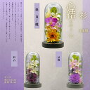 心結 大 杉 ボトルフラワー ドライフラワー プリザーブドフラワー 枯れないお花 プレゼント 贈り物