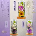 心結 大 ヒノキ ボトルフラワー ドライフラワー プリザーブドフラワー 枯れないお花 プレゼント 贈り物