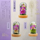 心結 小 ヒノキ ボトルフラワー ドライフラワー プリザーブドフラワー 枯れないお花 プレゼント 贈り物