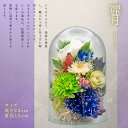 麗月 れいげつ ボトルフラワー ドライフラワー プリザーブドフラワー 枯れないお花 プレゼント 贈り物