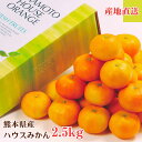 【熊本県産 ハウスみかん 2.5kg】お中元 夏ギフト 7月 8月 暑中見舞い 贈答用 プレゼント 内祝い 高級フルーツ 敬老の日 誕生日 結婚祝い 父の日 母...