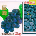 【熊本県産 巨峰 2kg】お中元 夏ギフト 7月 8月 暑中見舞い 贈答用 プレゼント 内祝い 高級フルーツ 敬老の日 誕生日 結婚祝い 父の日 母の日 お祝い...
