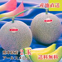 送料無料【熊本県産 アールスメロン 2玉 化粧箱入り】お中元 夏ギフト 7月 8月 贈答用 プレゼント 高級フルーツ 御中元 暑中見舞い 敬老 誕生日 内祝い 結婚祝い お祝い 産地直送
