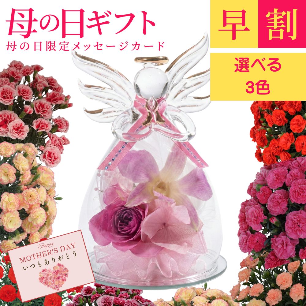 早割！ 母の日 ボトルフラワー アンジュ 選べる 3色 カーネーション メッセージカード プレゼント 花 生花 ギフト 鉢植え 希少 鉢植え カラフル 人気 おしゃれ かわいい 送料無料 鉢植え 応援 プリザーブドフラワー ソープフラワー 花束 ギフトセット スイーツ