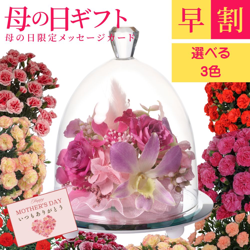 早割！母の日ボトルフラワーミュゼフ...