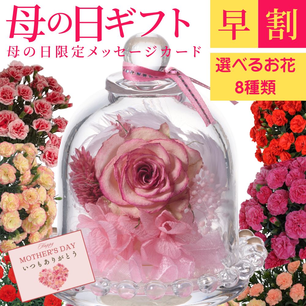 早割！ 母の日 ボトルフラワー プチジュエル 選べるお花 8種類 カーネーション メッセージカード プレゼント 花 生花 ギフト 鉢植え 希少 鉢植え カラフル 人気 おしゃれ かわいい 送料無料 鉢植え 応援 プリザーブドフラワー ソープフラワー 花束 ギフトセット スイーツ