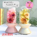 「送料無料」4000円以下 ジュエルフルール 「ミニエトワール」 ボトルフラワー ドライフラワー プリザーブドフラワー 贈り物 喜ばれる 誕生日 お祝い 仏花 造花 ミニ お供え アレンジメント 供花 プレゼント ギフト インテリア 陶器 女性 40代 50代 60代 バレンタイン