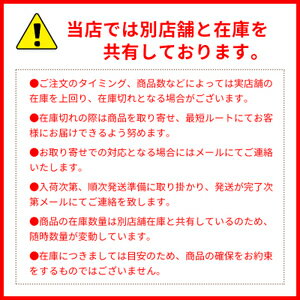 数量限定！モロッカンオイル　トリートメントライト100mlポンプ付き・ショッピングバッグ付き