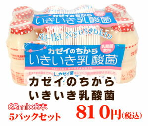 カゼイのちからいきいき乳酸菌40本入