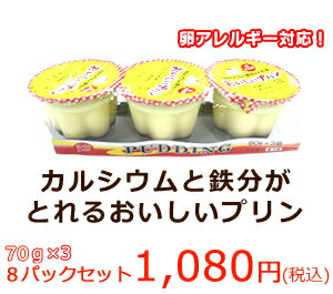 カルシウムと鉄分がとれるおいしいプリン24個入【 アレルギー対応 卵不使用 】