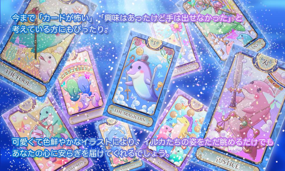 【イルカ かわいい タロットカード】BLISSFUL DOLPHIN TAROT ブリスフルドルフィンタロット　初心者 イルカ　鮮やか タロットカード 78枚入り 2