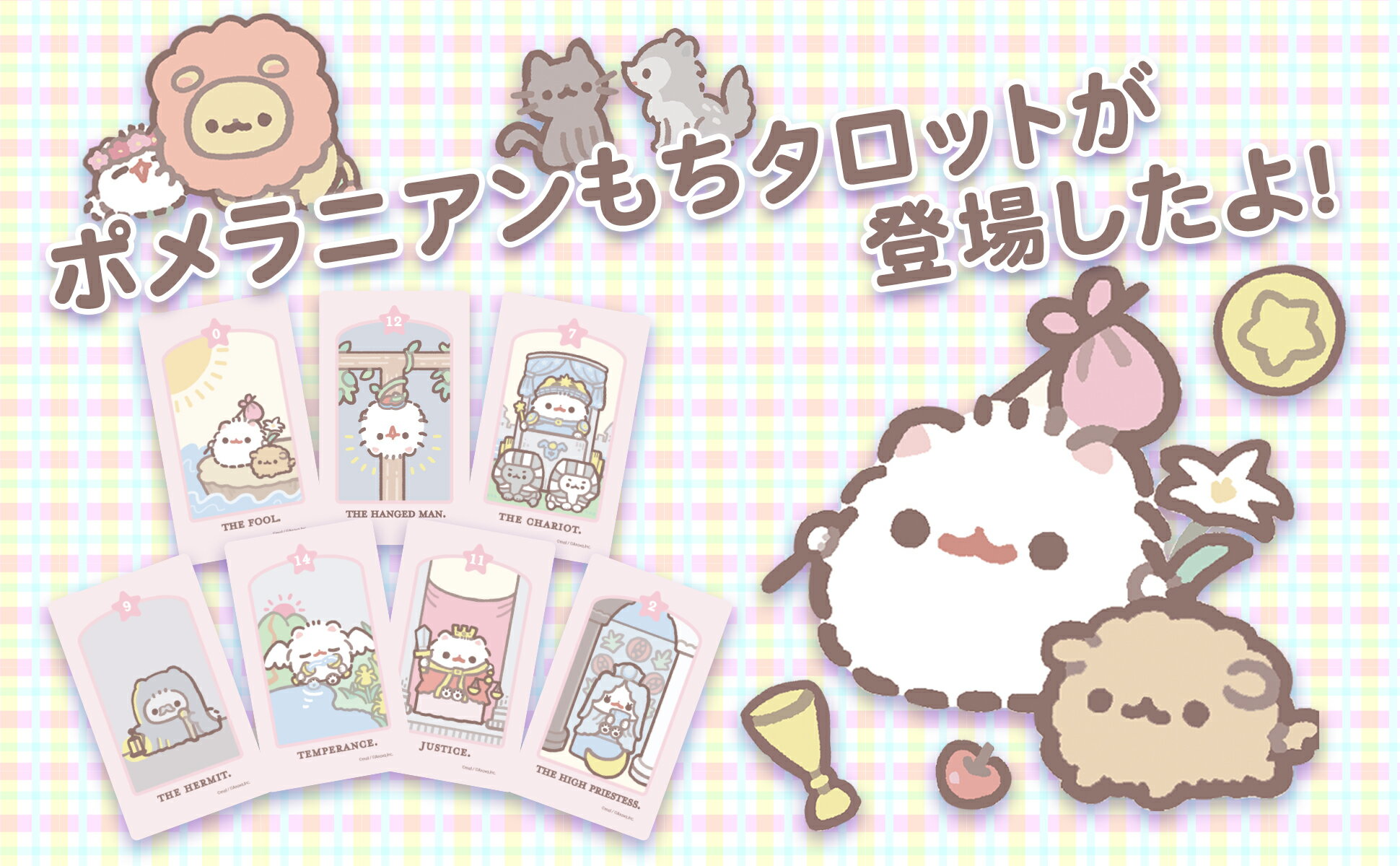 【初心者向け日本語ブックレット付】ポメラニアンもち タロット LUNA'S Pomeranian Mochi TAROT 初心者 ウエイト版 タロットカード かわいい タロットカード 初心者 タロット