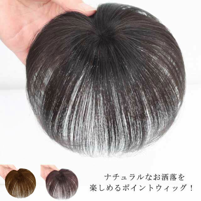 送料無料 部分ウィッグ 脱毛症 かつら ウィッグ ポイントウィッグ 送料無料 付け毛 薄毛 白髪隠れ トップカバー
