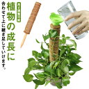 植物サポート 30cm 観葉植物 支柱 園芸支柱 モンステラ支柱 花ささえ ココスティック 園芸支柱パー 植物 ガーデニング用 ココナッツ支柱 つる性植物 トマ...