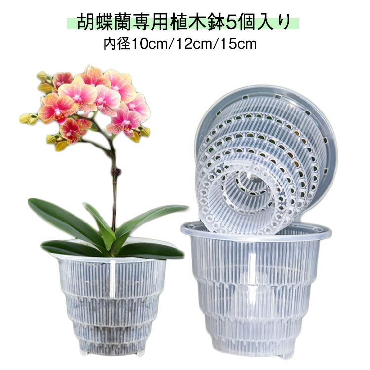 観葉植物の鉢 送料無料 胡蝶蘭専用 5個入り 胡蝶蘭 内径10cm/12cm/15cm 直径12cm 通気性抜群 根腐れ防止 植木鉢 植木鉢 透明 プラスチック 直径15cm 蘭の鉢 多穴型 クリア 排水穴付き 根が見える鉢 多肉植物 洋蘭 胡蝶蘭 おしゃれ