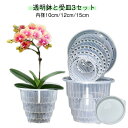 通気性抜群 植木鉢 内径10cm/12cm/15cm 植木鉢 根腐れ防止 胡蝶蘭専用 クリア 多穴型 透明鉢と受皿3セット 直径12cm 直径15cm 排水穴付き プラスチック おしゃれ 蘭の鉢 観葉植物の鉢 透明 根が見える鉢 おしゃれ 多肉植物 洋蘭 胡蝶蘭 胡蝶蘭