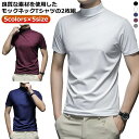 シャツ メンズ メンズtシャツ ゴルフシャツ スポーツウェア ゴルフ ゴルフ モックネックシャツ ゴルフウェア メンズ ハイネック 半袖 半袖 Tシャツ 2枚 ...