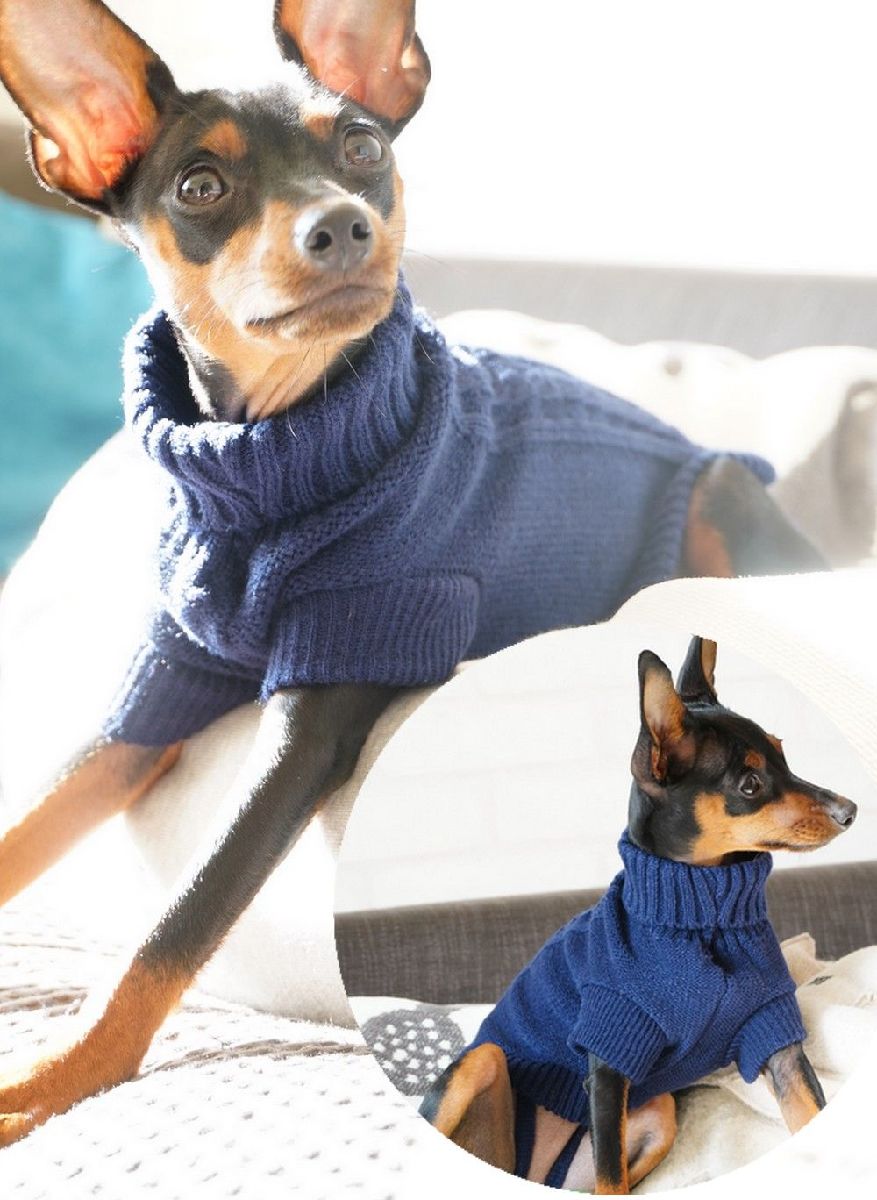 �ڥåȥ����� �����֥�˥å� �������� �����ȥ�ͥå� �� ǭ ������ �ץ륪���С� ̵�� ����ץ� ������ ���гݤ� �� �� �ɴ� �ڥå����� �ڥå���