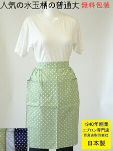 ☆ 百貨店 販売【 日本製 】【 普通丈 】人気の かわいい 水玉 柄の おしゃれ サロン エプロン ( 前掛け ギャルソン エプロン 腰巻き 綿 綿100 プレゼント ギフト 母の日 敬老の日 誕生日 女性用 レディス 女性 ドット 腰エプロン 腰下 ソムリエエプロン )
