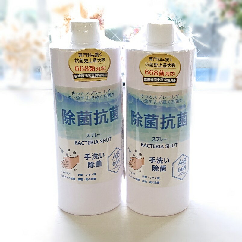 送料無料 抗菌スプレー 手指 除菌スプレー 【AAB668 手洗い 除菌 抗菌 】 1000ml 分 500ml ×2本 詰替用 大容量 食器 衣類 空間除菌 ...