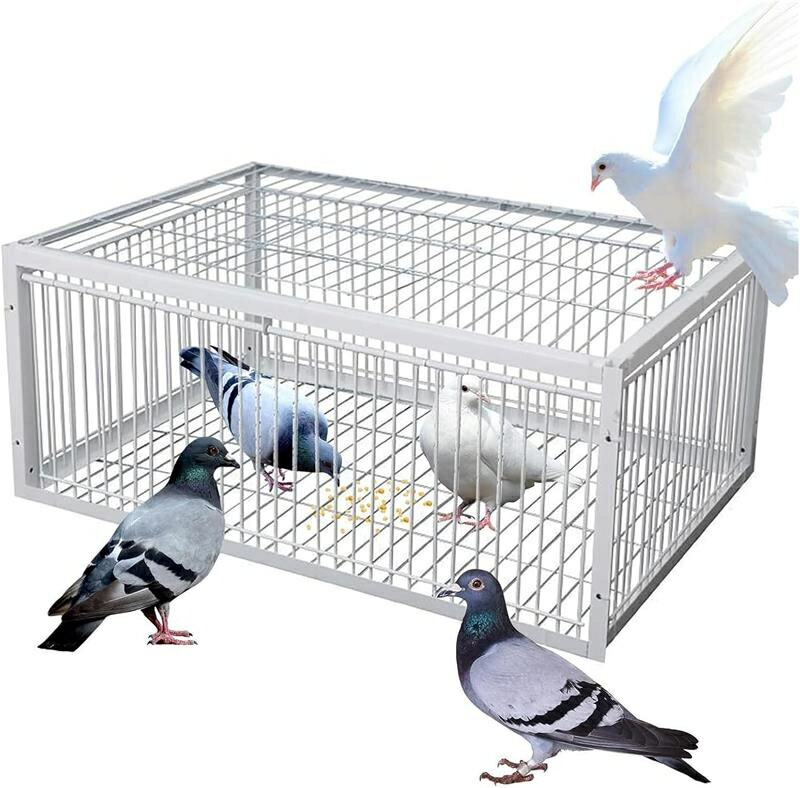Rakuten - 自動鳩捕獲器 片道入口付き 脱出防止設計 屋外 鳩かご 鳩捕り籠 鳥かご 鳩罠 ポータブル 4 輸入 鉄製ケージ 自動鳩コレクター 鳥に害はありません 鳥よけ 組み立て簡単 畑 庭 家庭菜園 農業作物保護 鳥害対策