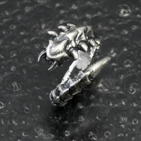 STRANGE FREAK DESIGNS[ץ ](С꡼/С925/Silver925/ȥ󥸥ե꡼...