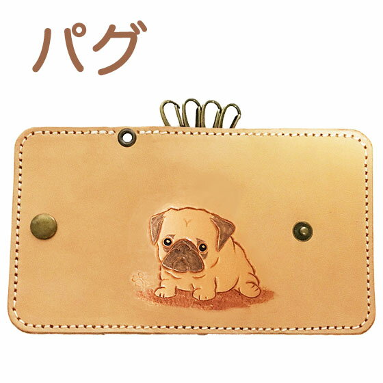 ѥץǥ襤̸pugܳ̾ĥӥ󥰥߸åѥå