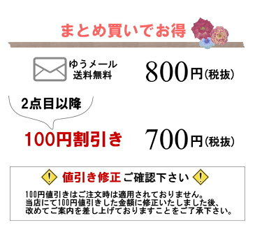 ゆらゆらビーズフープピアス/イヤリング 同商品2点目から100円引き♪(同時注文の場合のみ)甘エスニックデザイン【ゆうパケット送料無料】