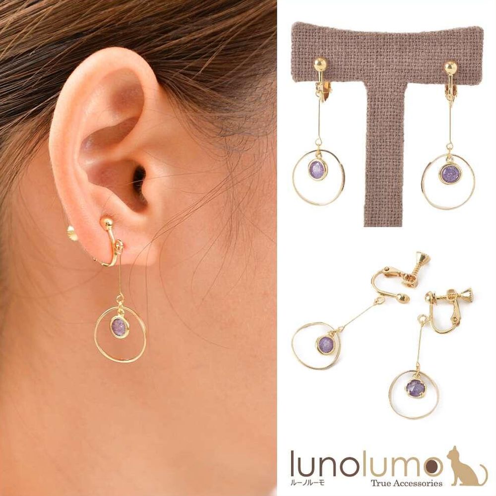 【メール便送料無料】パープルカラーのサークルイヤリング E