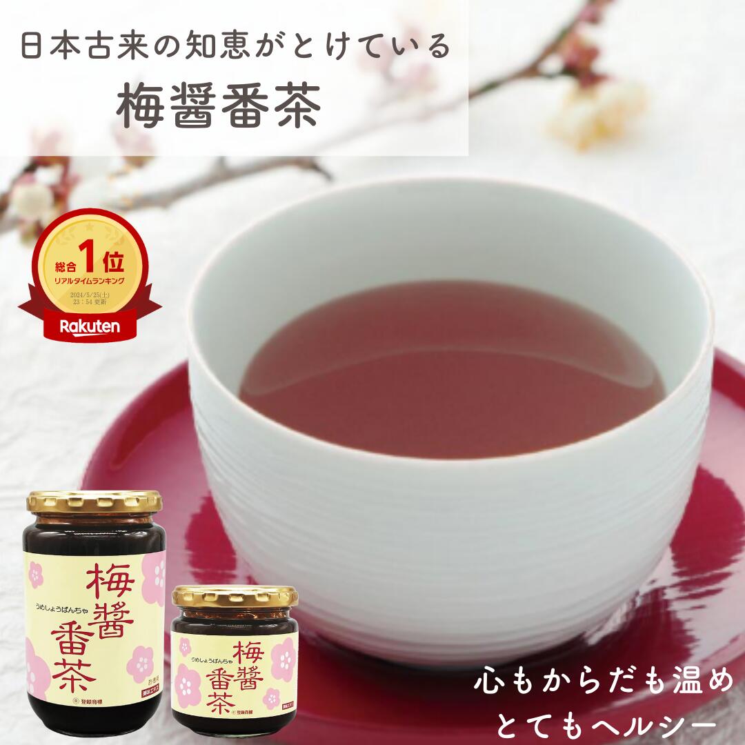 【特典あり】テレビで紹介！ アイリス 梅醤番茶 梅しょう番茶 ドリンク 梅醤 ポリフェノール アルカリ ..