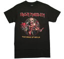 Iron Maiden / The Book of Souls Tee (Vintage Black) - アイアン メイデン Tシャツ