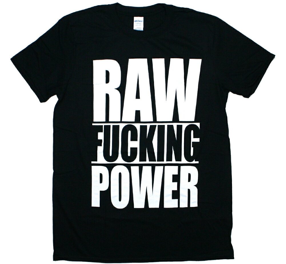 Iggy and the Stooges / Raw Power Tee 4 (Black) - イギー ザ ストゥージズ Tシャツ