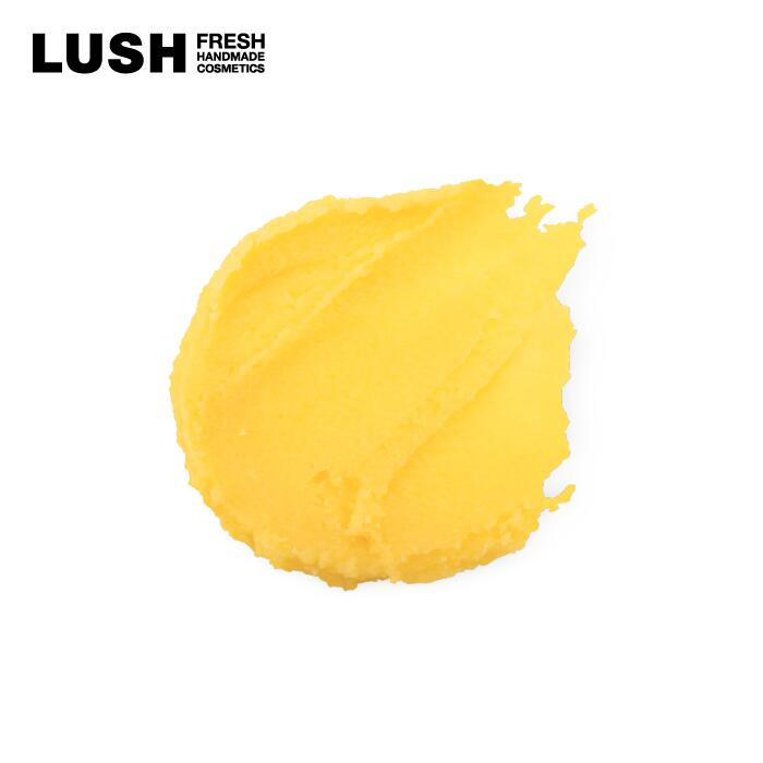 LUSH ラッシュ 公式 リップサービス リップバーム リップ ケア クリーム 保湿 潤い 乾燥 ひび割れ 柑橘系 いい匂い 手作り プレゼント 保存料不使用 コスメ