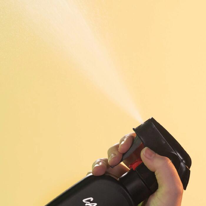 LUSH ゼスティ ボディスプレー フレグランス 香水 ヴィーガン プレゼント向け ライム ネロリ フランキンセンス 柑橘 ウッディ いい匂い コスメ ラッシュ 公式